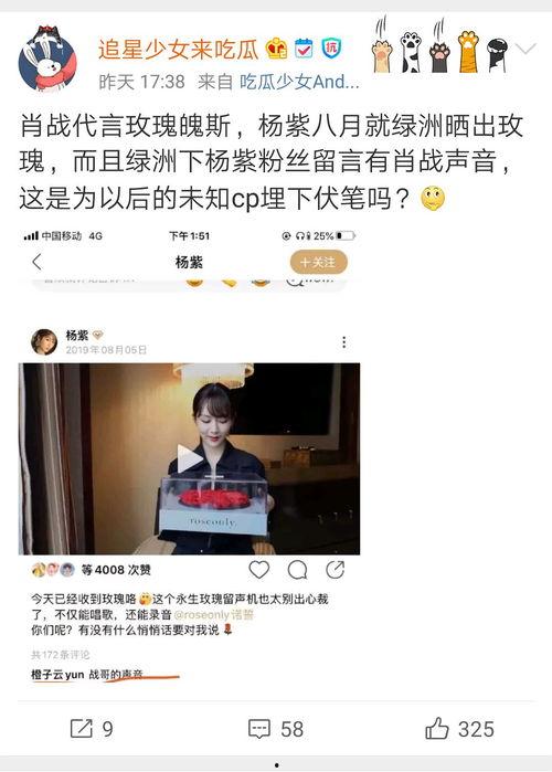 营销号娱乐吃瓜君,营销号“娱乐吃瓜君”带你领略幕后风云