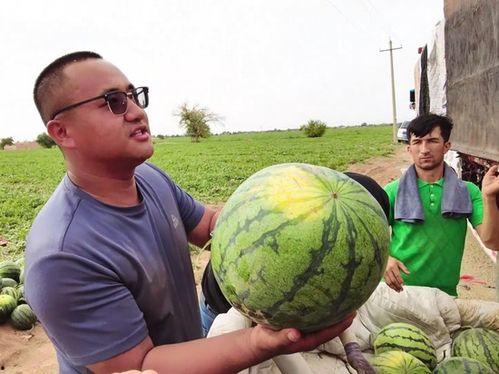 抓马娱乐吃瓜,抓马事件与吃瓜群众的狂欢