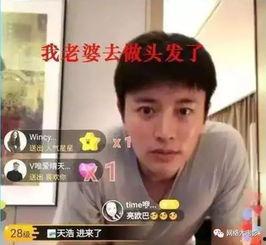 娱乐圈吃瓜电视剧,揭秘明星幕后真相与甜蜜爱情