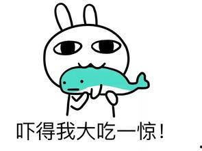 娱乐吃瓜酱果然真诚,揭秘娱乐圈真诚背后的故事