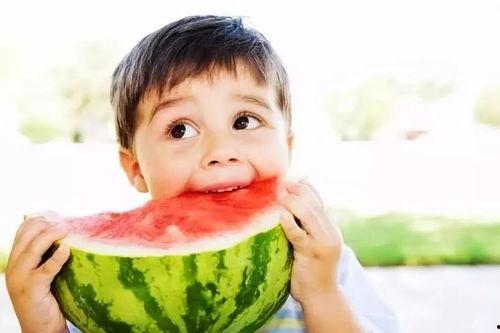 娱乐吃瓜小兔兔小说,小兔兔的吃瓜日常